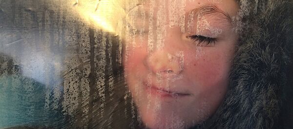 Медвежий угол, Особая отметка жюри в номинации Моя страна (серии) - Sputnik Латвия