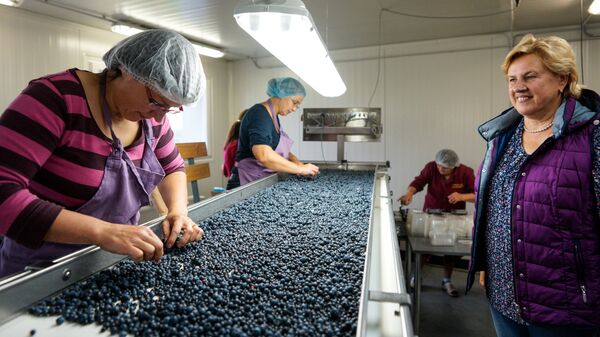 Владелец предприятия Very Berry Гундега Саушкина (справа) - Sputnik Латвия