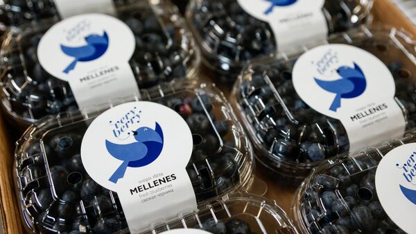 Черника Very Berry - Sputnik Латвия