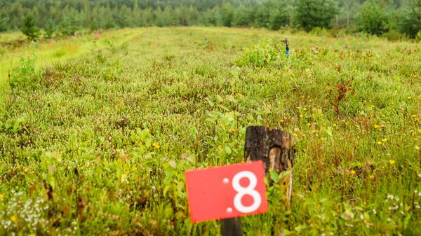 Поля знаменитой клюквы - Sputnik Латвия