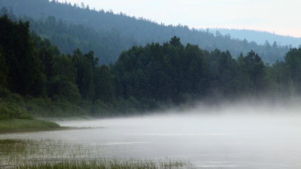 Утренний туман покрывает тихую Лену - Sputnik Латвия