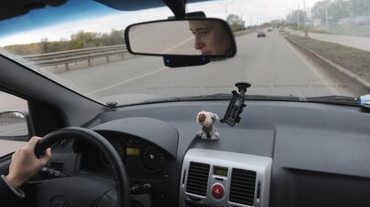 Водитель за рулем