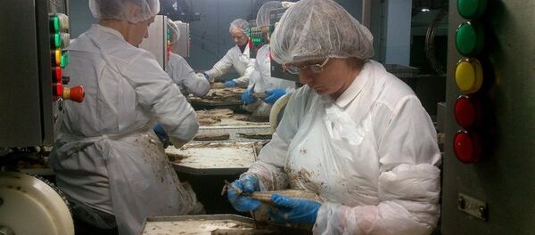 Zivju konservu rūpnīca Kaija/Karavela Zivju konservu rūpnīca Kaija/Karavela - Sputnik Latvija