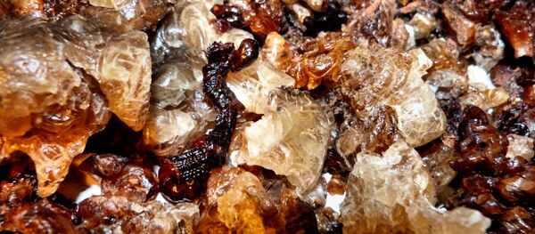 Необработанный янтарь. Архивное фото - Sputnik Latvija