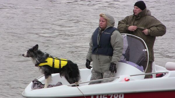 Пропавших ищут и на воде тоже - Sputnik Латвия