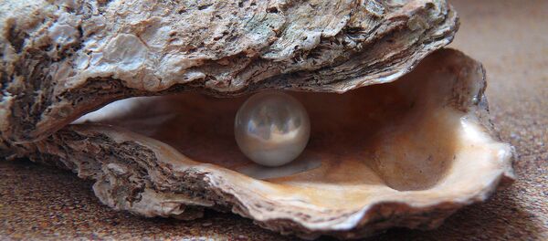 Жемчуг Жемчуг - Sputnik Latvija