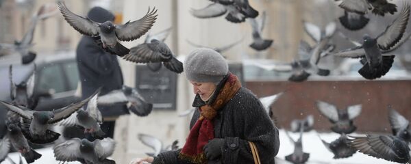 Женщина кормит голубей Женщина кормит голубей - Sputnik Latvija