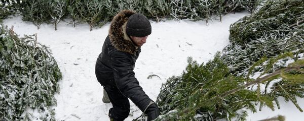 Елочные базары - Sputnik Латвия