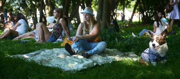 Пикник Афиши 2015 - Sputnik Латвия