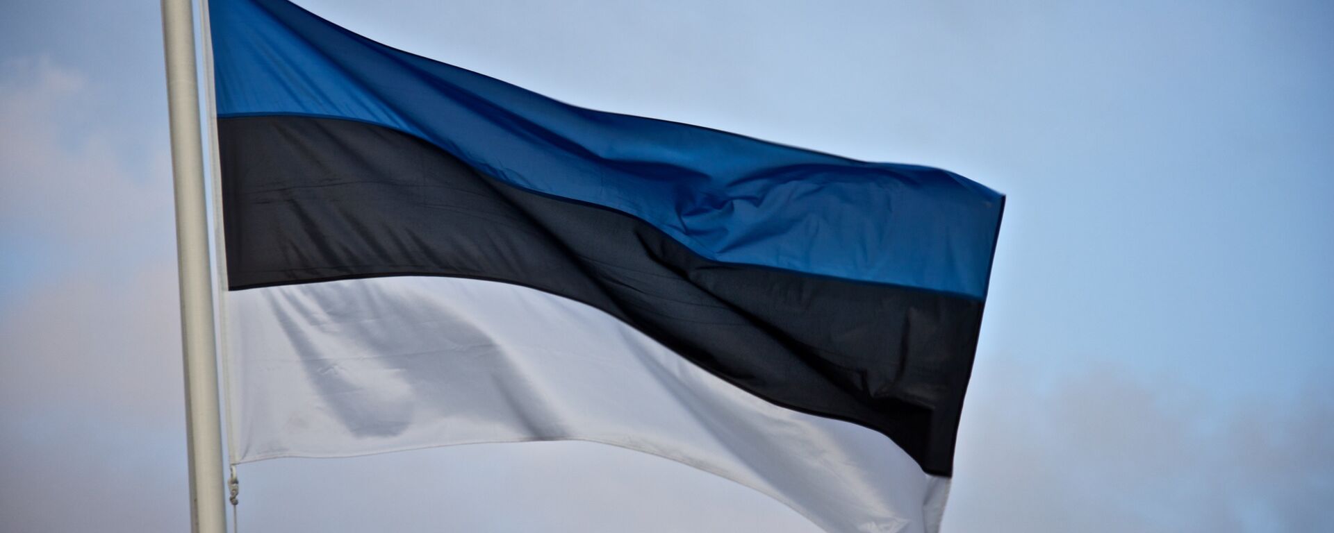 Эстонский флаг. Иллюстративное фото. - Sputnik Латвия, 1920, 08.09.2023