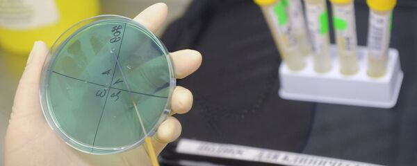 Latviešu zinātnieki piedalās jaunas vēža ārstēšanas metodes izstrādē Latviešu zinātnieki piedalās jaunas vēža ārstēšanas metodes izstrādē - Sputnik Latvija