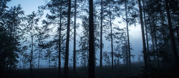 Регионы России. Карелия - Sputnik Латвия