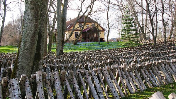 Грядка Андриса Вяксы: на березовых колышках, аккуратно расставленных около дома, растут шиитаке - Sputnik Латвия