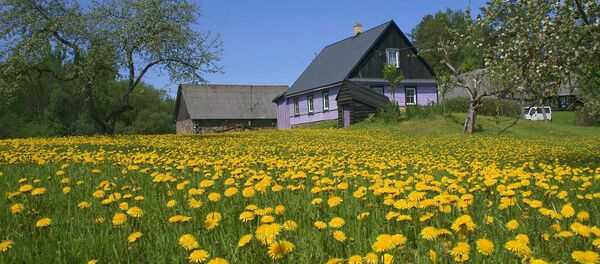 Гостевой дом Baltin Krogs - Sputnik Латвия