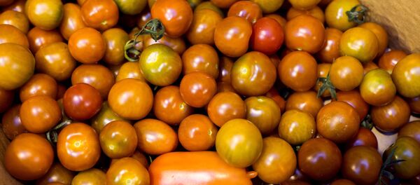 Помидоры - Sputnik Латвия