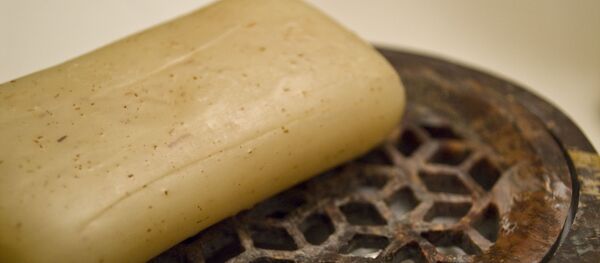 Ziepes. Foto no arhīva Ziepes. Foto no arhīva - Sputnik Latvija