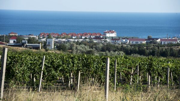 Vīna kalni Koktebelas ciematā Krimā. Foto no arhīva - Sputnik Latvija