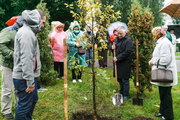 Представители латышского общества Сакнес сажают дуб - Sputnik Латвия