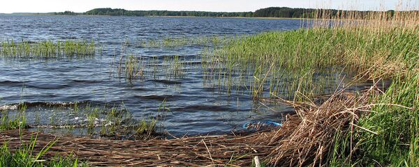 Кишэзерс в районе Юглы - Sputnik Латвия