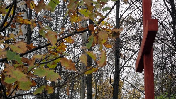 Поклонный крест на бывшем латышском кладбище в деревне Кашкурино - Sputnik Латвия