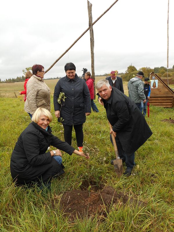 Посадка дубовой рощи в деревне Плоское - Sputnik Латвия