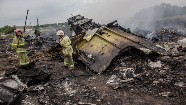 Malaizijas pasažieru lainera Boeing 777 notriekšana 2014. gada vasarā Donbasā - Sputnik Latvija