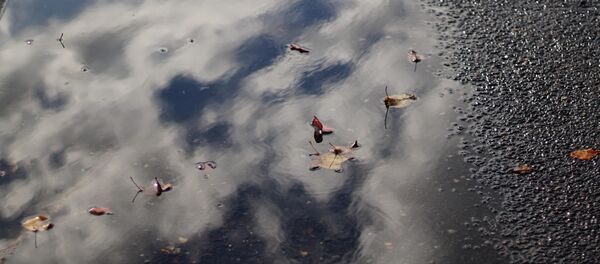 Лужа на асфальте. Архивное фото - Sputnik Латвия