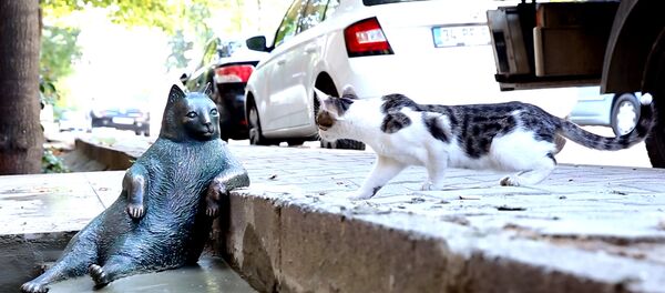 Памятник коту Томбили в Стамбуле - Sputnik Латвия