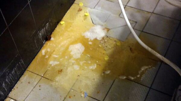 Фотографии, сделанные на кухне KFC в Риге бывшим сотрудником компании Фотографии, сделанные на кухне KFC в Риге бывшим сотрудником компании - Sputnik Латвия