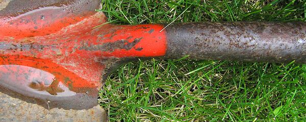 Лопата Лопата - Sputnik Латвия