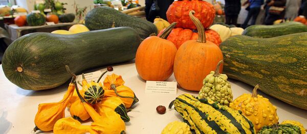Выставка тыкв в Музее природы - Sputnik Латвия