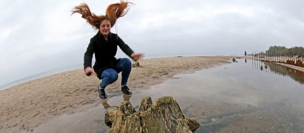 Relikta koku atliekas Baltijas jūras krastā. Relikta koku atliekas Baltijas jūras krastā. - Sputnik Latvija