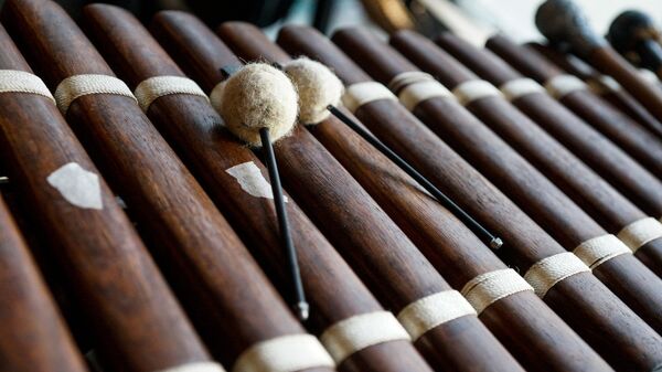 Ударный инструмент - Sputnik Латвия