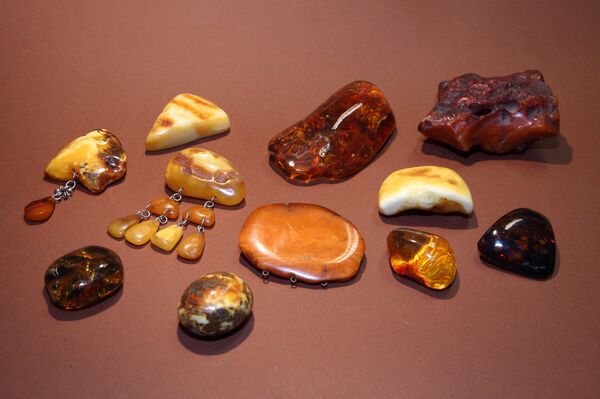 Янтарь из коллекции Сергея Алексеева Янтарь из коллекции Сергея Алексеева - Sputnik Латвия