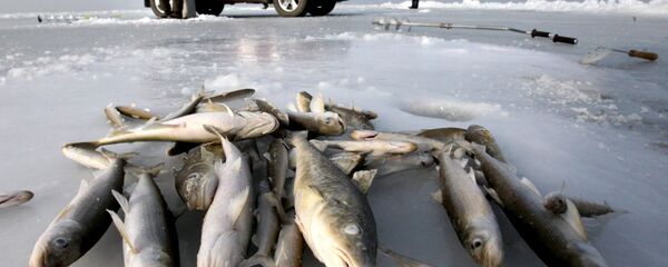 Ziemas makšķerēšana. Foto no arhīva - Sputnik Latvija