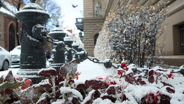 Клумба с цветами под снегом у здания Сейма Латвии - Sputnik Латвия
