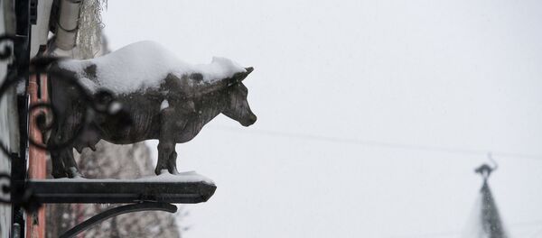 Снег в Риге Снег в Риге - Sputnik Латвия