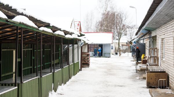 Latvijas iedzīvotāju skaits joprojām katastrofiski sarūk - Sputnik Latvija