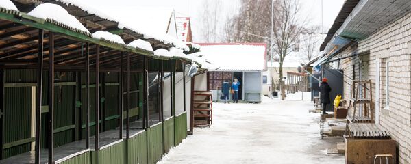 Latvijas iedzīvotāju skaits joprojām katastrofiski sarūk Latvijas iedzīvotāju skaits joprojām katastrofiski sarūk - Sputnik Latvija