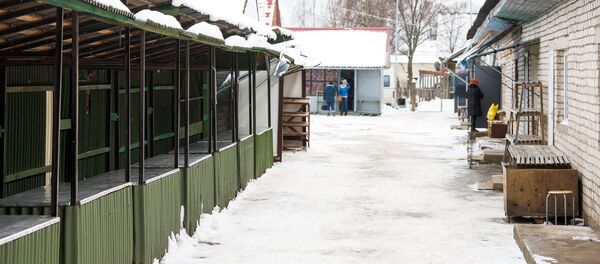 Latvijas iedzīvotāju skaits joprojām katastrofiski sarūk Latvijas iedzīvotāju skaits joprojām katastrofiski sarūk - Sputnik Latvija