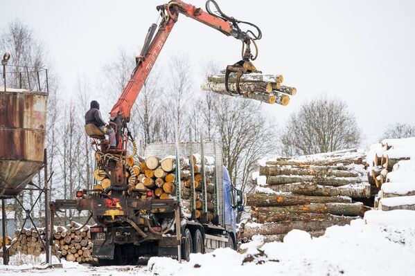 Одна из немногих отраслей для работы в Латгалии - деревообработка - Sputnik Latvija