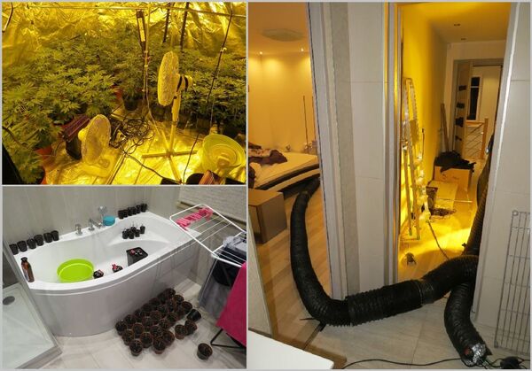 Оперативная съемка из квартиры в Юрмале, где устроили конопляную плантацию - Sputnik Латвия