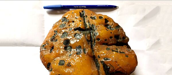 Dzintars no Kaļiņingradas apgabala Dzintars no Kaļiņingradas apgabala - Sputnik Latvija