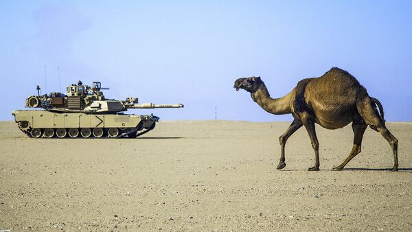 Танк и верблюд в пустыне - Sputnik Latvija