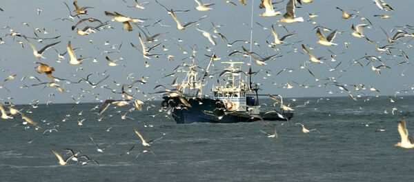 Рыболовецкий сейнер - Sputnik Latvija