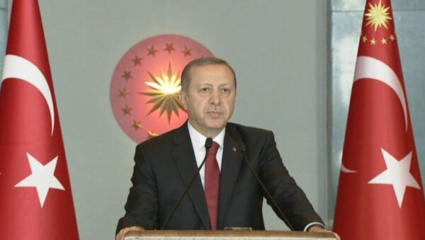 Эрдоган рассказал, кто устроил взрыв в центре Стамбула - Sputnik Latvija