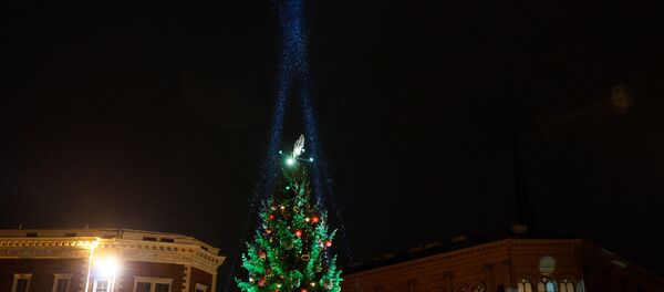 Елка на Домской площади - Sputnik Латвия