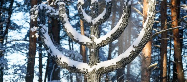 Такое не должно повториться - Sputnik Латвия