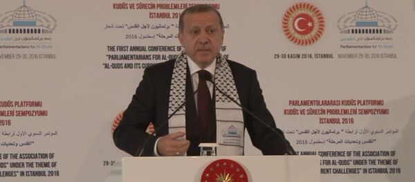 Эрдоган назвал свержение Асада целью военной операции Турции в Сирии - Sputnik Латвия