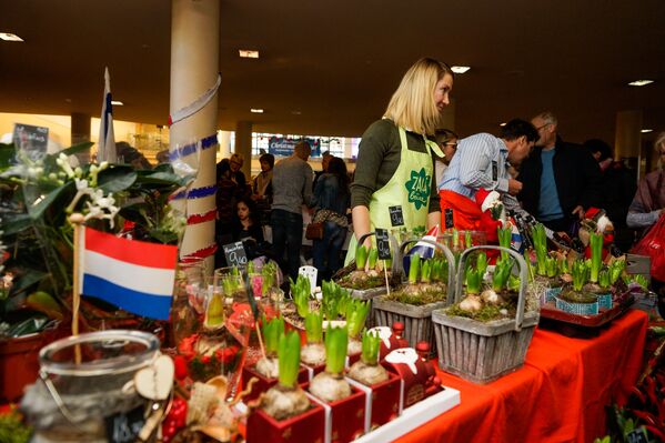 Посольство Нидерландов предлагало желающим приобрести саженцы и рассаду цветов - Sputnik Латвия